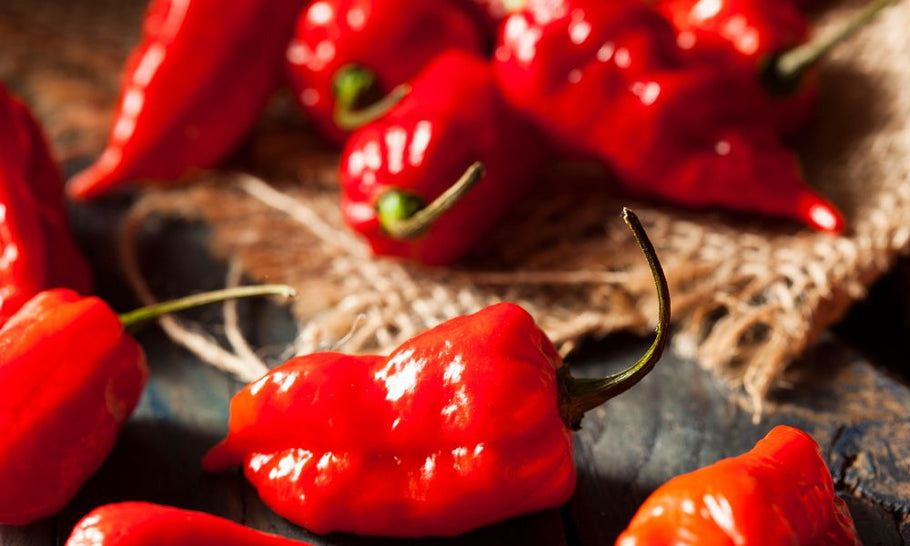 The Hottest Peppers Used in Jerky: 4 To Try